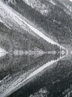 Erkannt? Hier spiegelt sich der Berg mit Bäumen und Schnee in der glatten Wasserfläche. Plansee Nov 2017